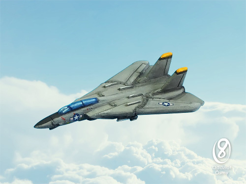 F-14 Tomcat