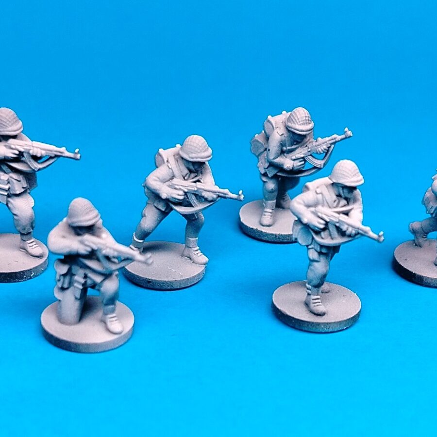Polish Cold War infantry I